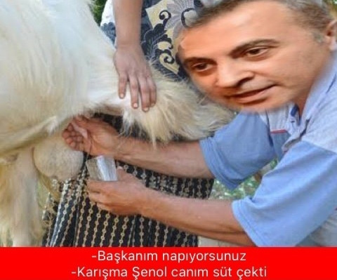 Beşiktaş yenildi, capsler patladı ! - Resim: 2