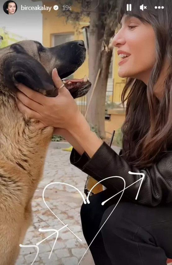 Birce Akalay yeni dizisi için imaj değiştirdi - Resim: 4