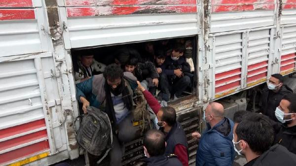 TIR'da yakalanan göçmenleri say say bitmedi! - Resim : 1