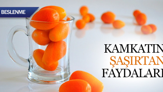 Kamkatın faydalarına şaşıracaksınız !