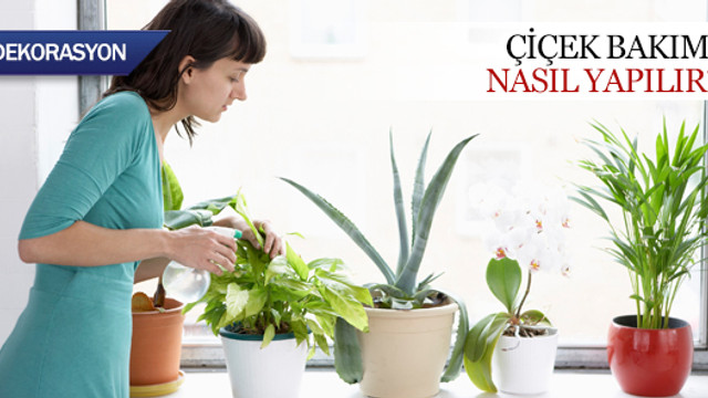 Çiçek bakımı nasıl yapılır?