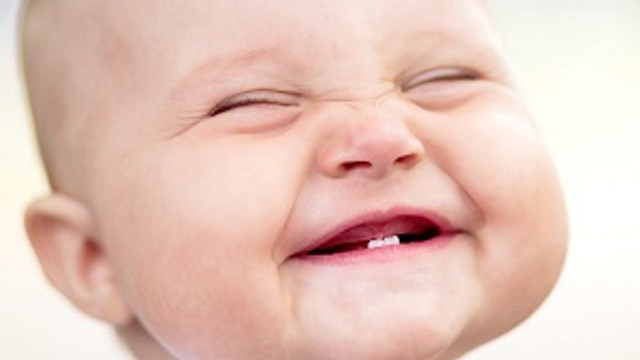 bebegin dis gelisimi anne karninda