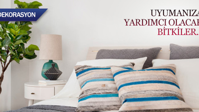 Uyumanıza yardımcı olacak bitkiler