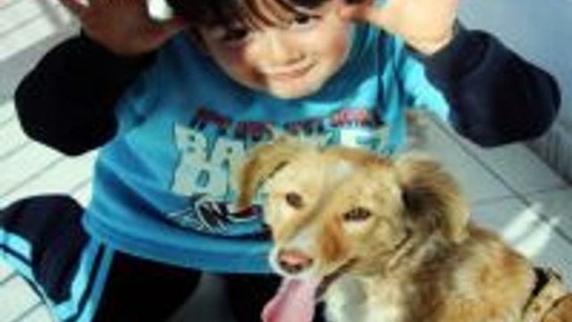 Beyninde Tumor Olan Minik Ali Utku Yasam Savasini Kaybetti Guncel