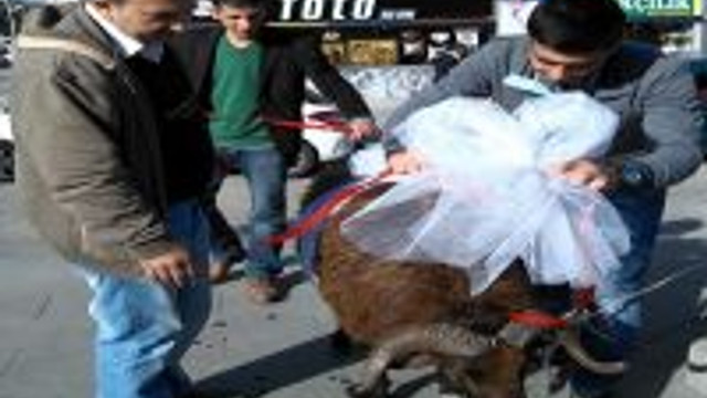 20 Tlye Gelin Koclari Suslenir Guncel