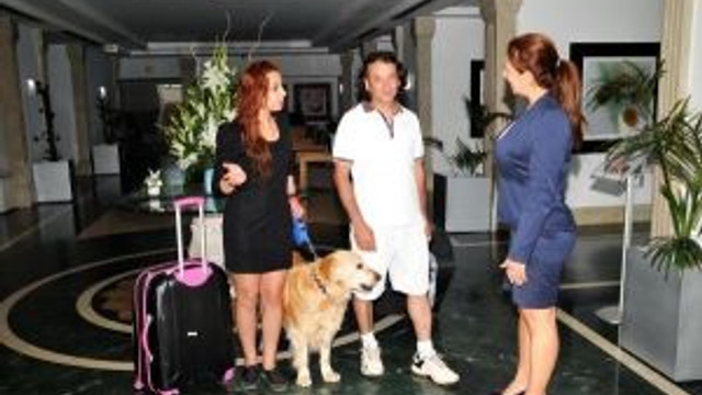 Bodrumda Hayvan Dostu Otel Sayisi 2ye Cikti Guncel