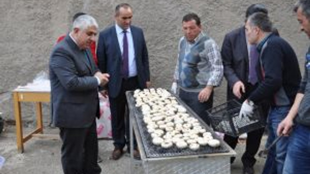 Sorgun Da Kultur Mantari Yetistiriciligi Guncel