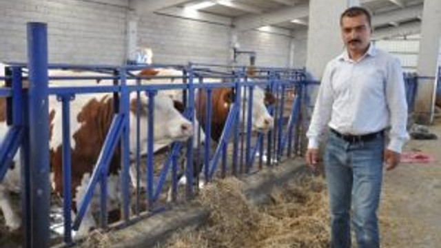 Köye 5 milyona kurduğu çiftliğinde, dana bakım evi projesini hayata