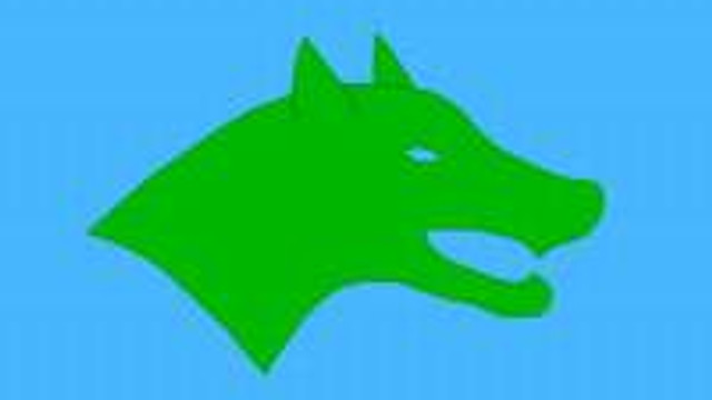 Ay Yildiz Yerine Bozkurt Bayragi Guncel