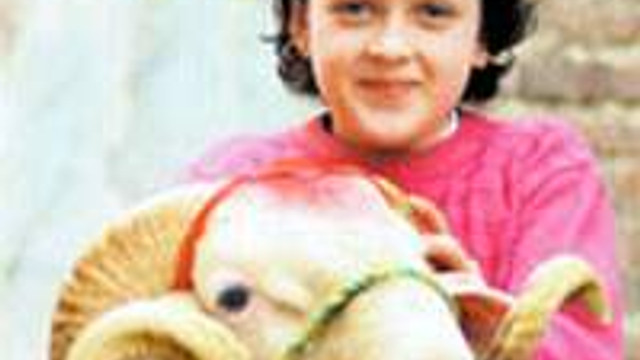 Haram Parayla Kurban Kesilir Mi Guncel