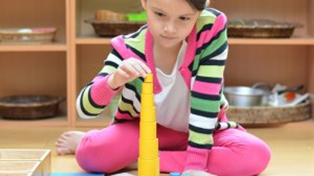 Cocuk Gelisiminde Uygulamali Uzaktan Ogretim Firsati Egitim