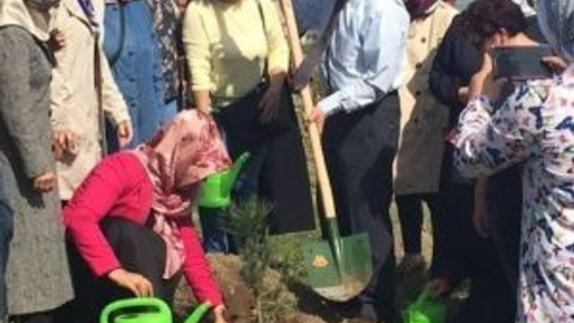 Ak Partili Kadınlardan Hatıra Ormanı
