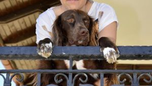 Ketaminle Zehirlenen Köpek İçin 7 Yıl 4 Ay Hapis Cezası