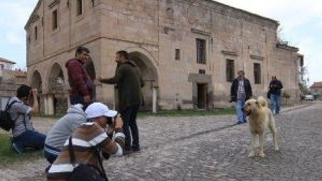Mimar Sinan Fotoğraflarla Anıldı