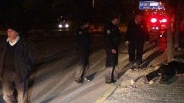 Gaziantep’de Kaza: 2 Ölü