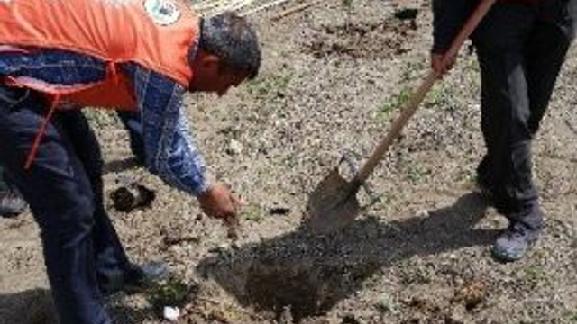 Gediz Organize Sanayi Bölgesi’ne Öğrencilerden 500 Ağaç Fidanı