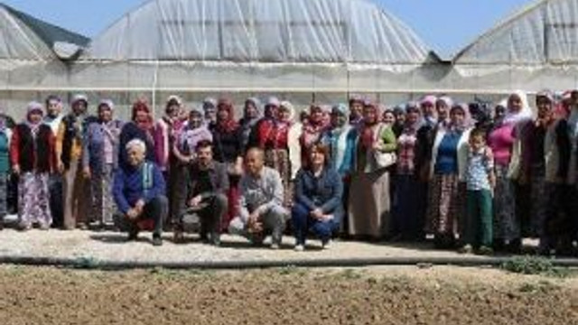 Başkan Çerçioğlu’ndan Çiçek Üreticilerine Destek