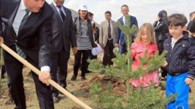 Talas’ın Fidanları Yarınları İçin Fidan Dikti
