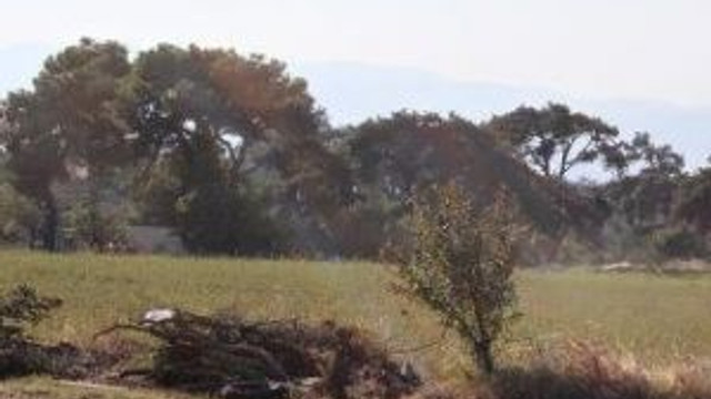 Zeytindağ'a Çimento Fabrikasına Çed Süreci Freni