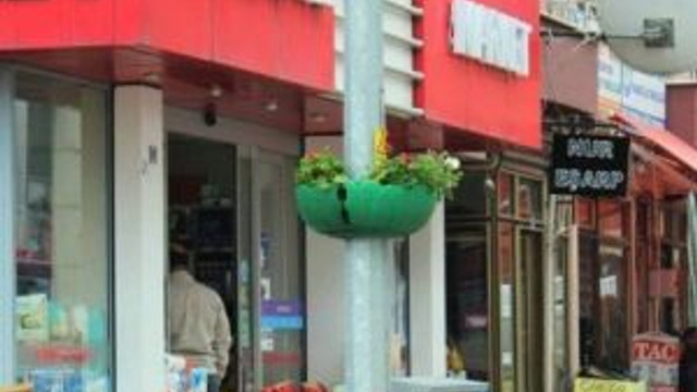 Aydınlanma Direkleri Sardunya Çiçekleriyle Süslendi