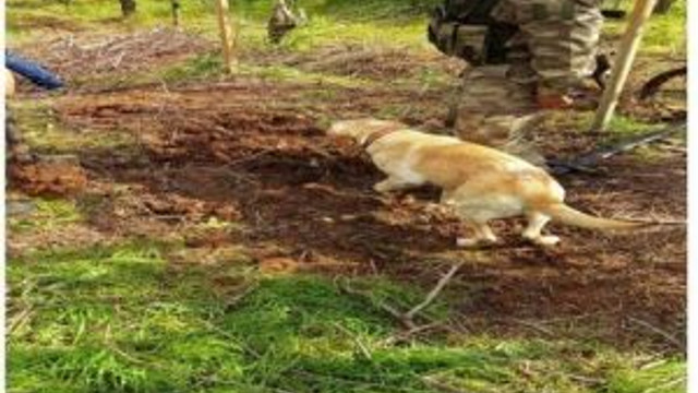 Silopi’de Operasyonlar Devam Ediyor