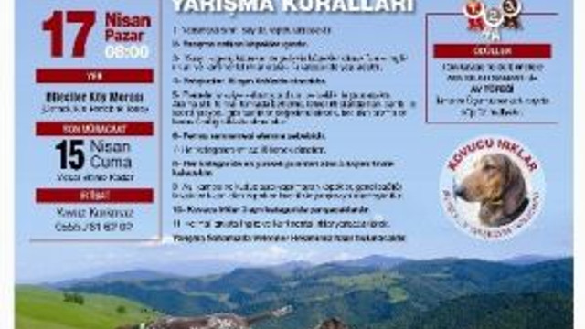 8. Fermalı Av Köpekleri Yarışması Hafta Sonu Yapılacak