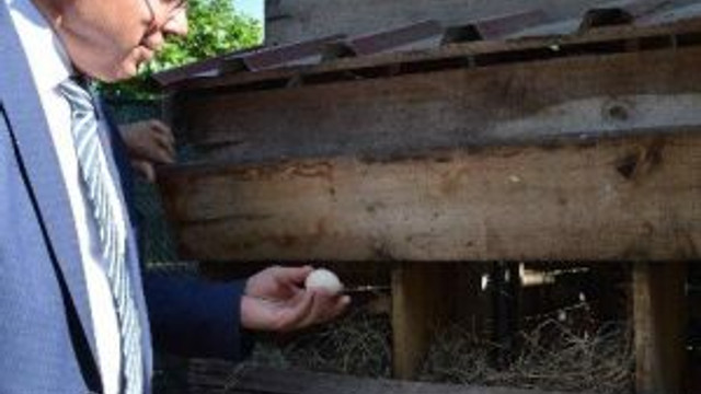 Vali Çiçek, Organik Köyde Vatandaşlarla Buluştu