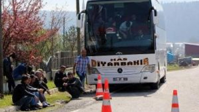 Otobüsteki Salça Kutularından 15 Kilo Esrar Çıktı