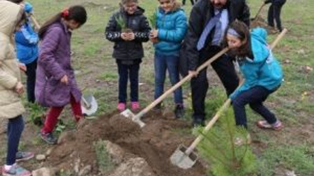 4000 Adet Çam İle Çınar Fidanları Toprakla Buluştu
