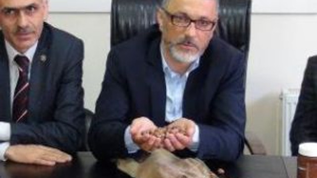 Giresun Ziraat Odaları: Fındık Üreticisi Kan Ağlıyor