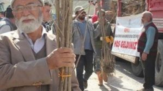 Kadın Çiftçilere 3 Bin 100 Adet Kiraz Fidanı Dağıtıldı