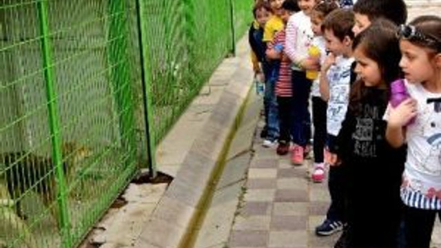 Doğal Yaşam Merkezi Çocuklara Hayvan Sevgisi Aşılıyor