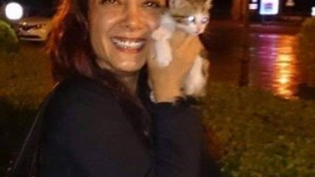 Şüpheli paketten kedi çıktı