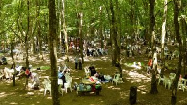 Bağcılar için piknik vakti