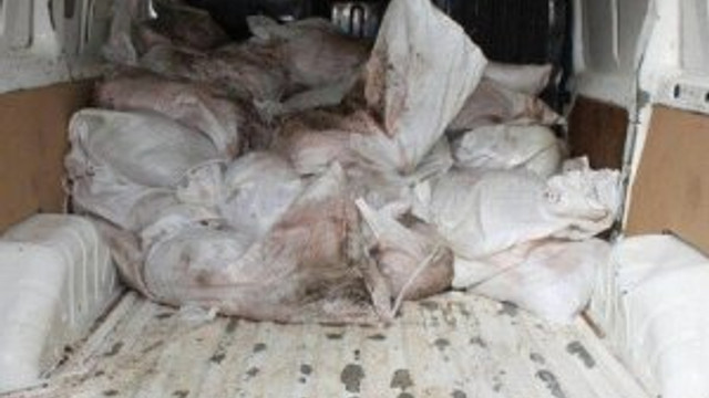 875 kilo kaçak et ele geçirildi