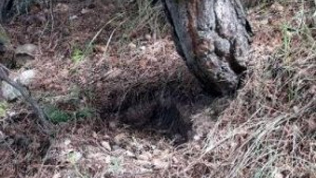 'Yasak aşktan bebek cinayetine