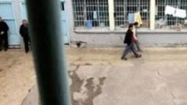 PKK'lıların kaldığı koğuşta korkunç olay !