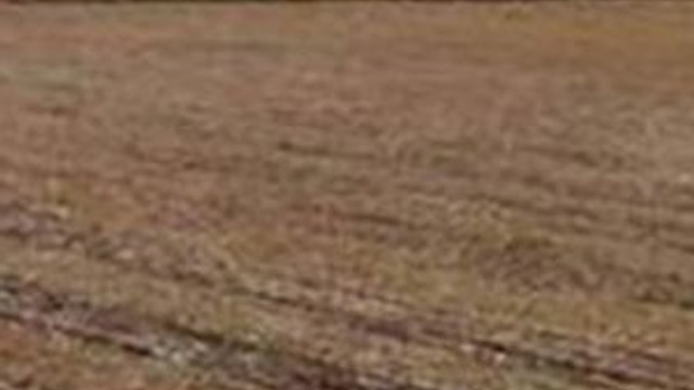 Gurbetteki vatandaşın tarlası para basacak