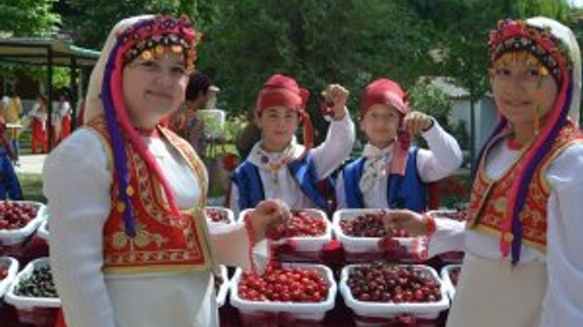 52. Tekirdağ Kiraz Festivali Naip Mahallesinde Başladı