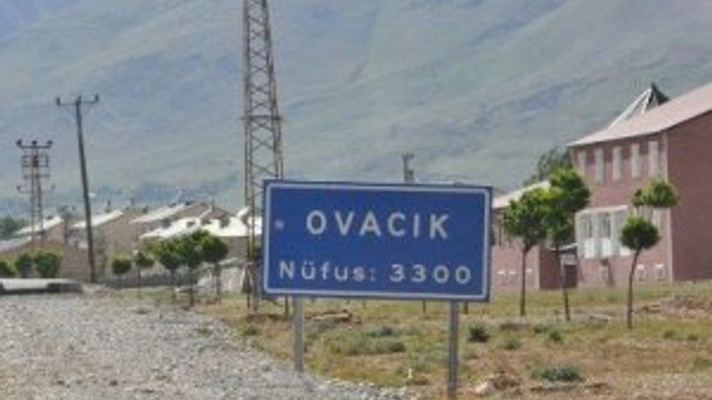 Hainler yine saldırdı