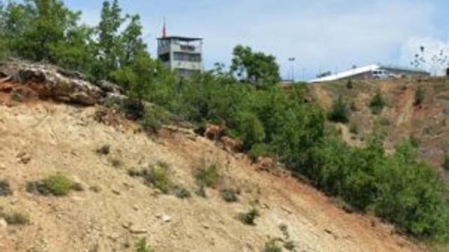 Yaban keçileri için büyük önlem