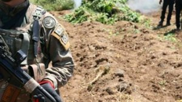 PKK talimat verdi: Hepsini yakın
