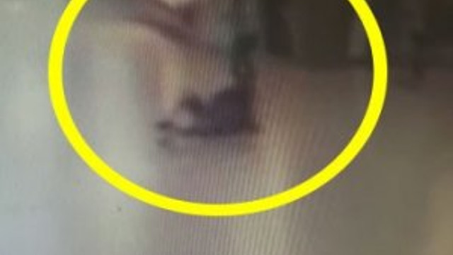 Saldırıda teröristi vuran polis anlattı !