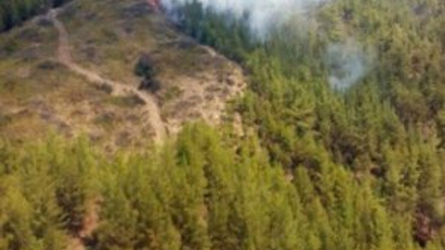 Antalya Kaş'ta orman yangını