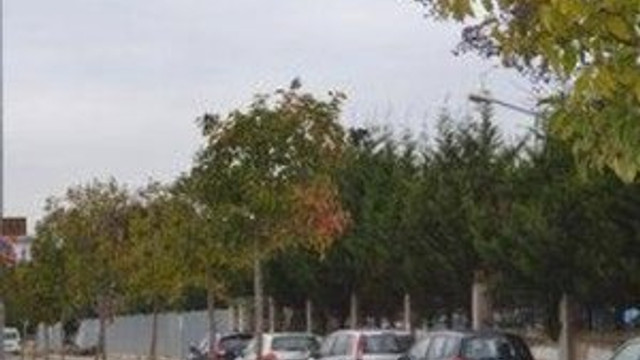 Park için ağaç sökmüştü !