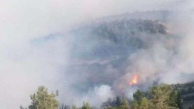 Manisa'da korkutan yangın