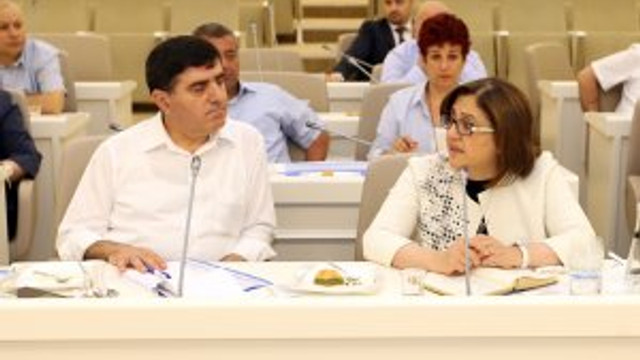 ''Uluslararası bir sorun yerel bir bakış açısıyla çözülemez''