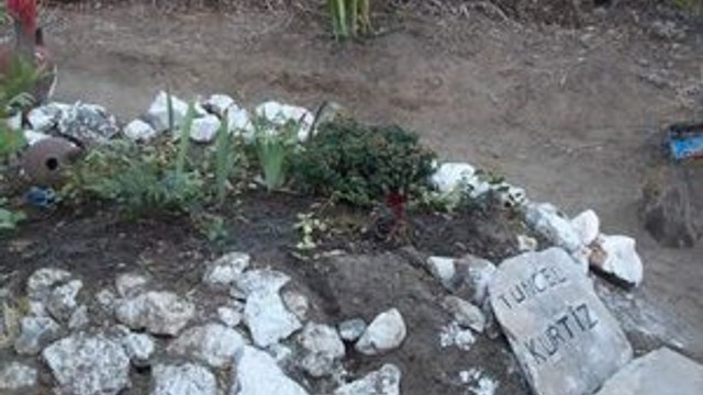 Tuncel Kurtiz'in mezarı sahipsiz kaldı