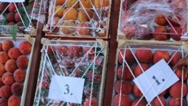 Rusya'ya ihracat başladı