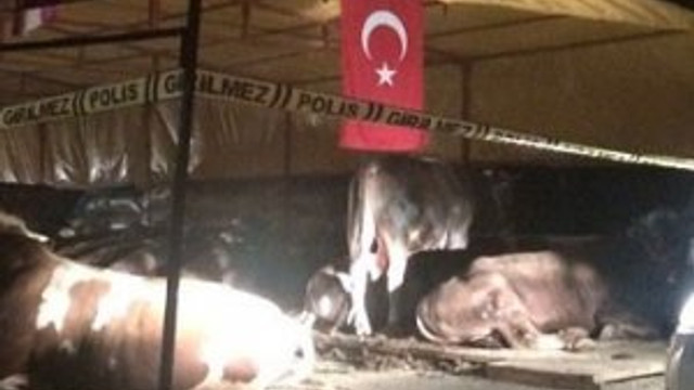 Kurbanlık pazarında silahlı kavga: 3 ölü